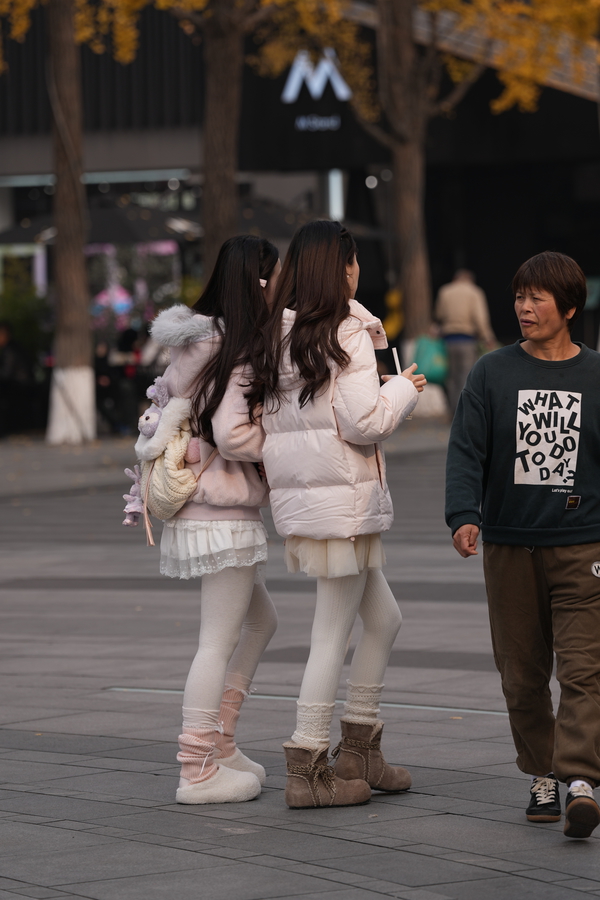��˿������2026.6.1�Ứ����